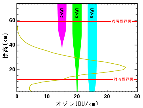 紫外線の科学　2．　紫外線の種類