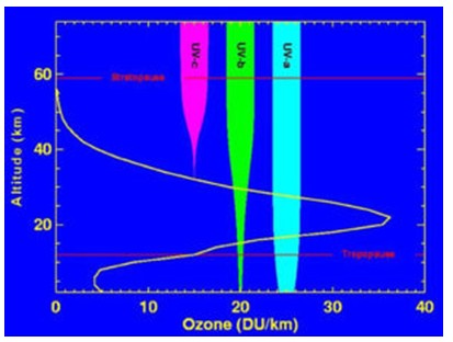 オゾン殺菌の科学2.オゾン層の生成