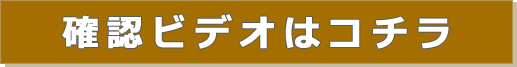 ハロゲン ポイントヒーターの確認ビデオはこちら