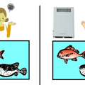 生け簀の魚の臭いの脱臭 -紫外線殺菌と強力オゾン消臭 OZ-10、OZ-20の活用法
