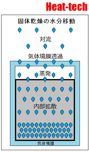 固体乾燥の水分移動