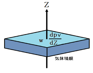 気体境膜