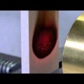 木の加熱シリーズ6 - センゴン ラウト　(アルビチア・ファルカータ)－ハロゲンポイントヒーターの活用法ビデオ