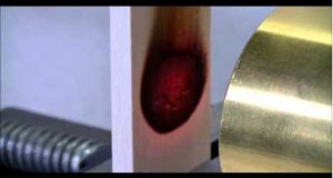 木の加熱シリーズ6 - センゴン ラウト　(アルビチア・ファルカータ)－ハロゲンポイントヒーターの活用法ビデオ