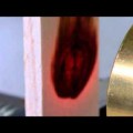 木の加熱シリーズ4 - 桐－ハロゲンポイントヒーターの活用法ビデオ