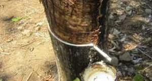 樹脂加熱の基礎知識-3 樹脂の種類-6 エラストマー