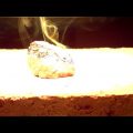 岩石の加熱・溶解・ガラス化シリーズ16　ブルナイト（班銅鉱）