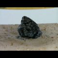 岩石の加熱・溶解・ガラス化シリーズ28　雪片黒曜石スノーフレークオプシディアン